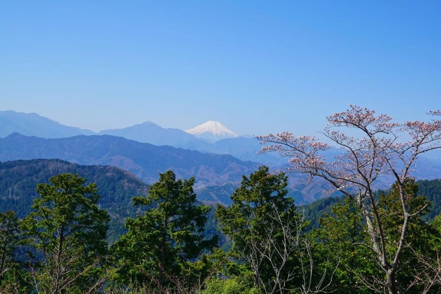 Tokyo: Mount Takao Guided Hiking Tour - Key points to know before booking