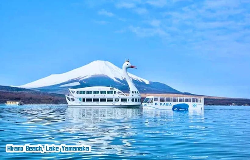 Tokyo: Mt Fuji 3 Lakes Day Trip | 9-Guest Small Group - Who should book this Fuji day trip