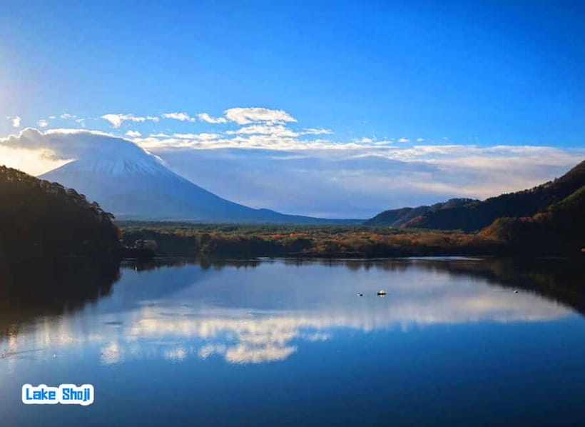 Tokyo: Mt Fuji 3 Lakes Day Trip | 9-Guest Small Group - Why this Fuji trip feels different from a standard bus outing