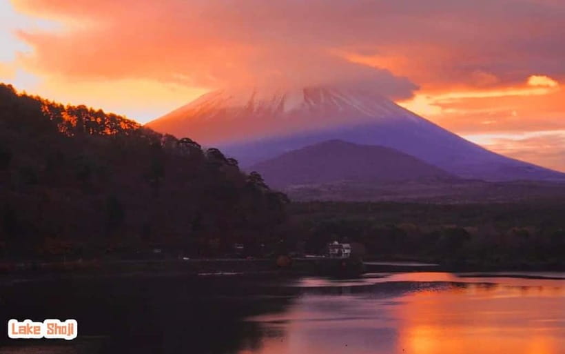 Tokyo: Mt Fuji 3 Lakes Day Trip | 9-Guest Small Group - Choosing one Kawaguchi activity