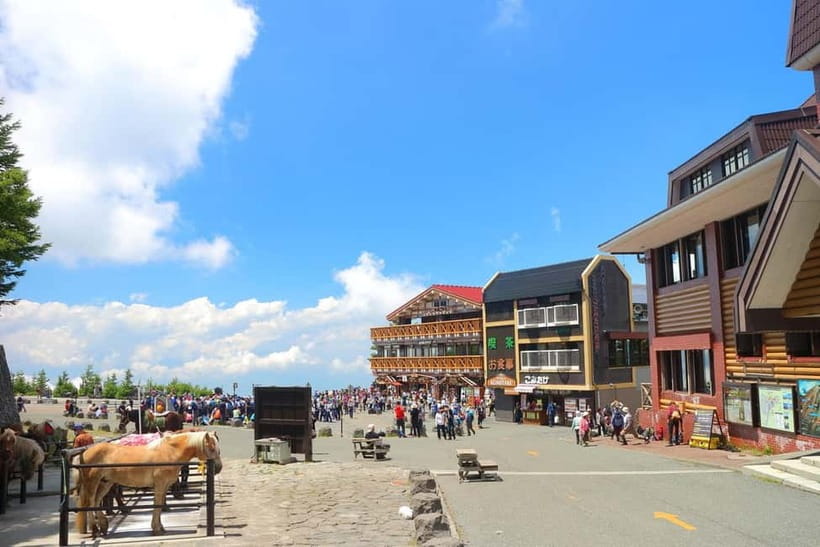 Tokyo: Mt. Fuji 5th St, Gotemba & Hakone by Luxury Bus - Why this day trip works from Tokyo