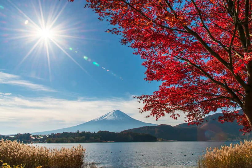Tokyo: Mt. Fuji 5th St. & Hakushu Distillery Whisky Museum - Oishi Park and the Lake Kawaguchi view