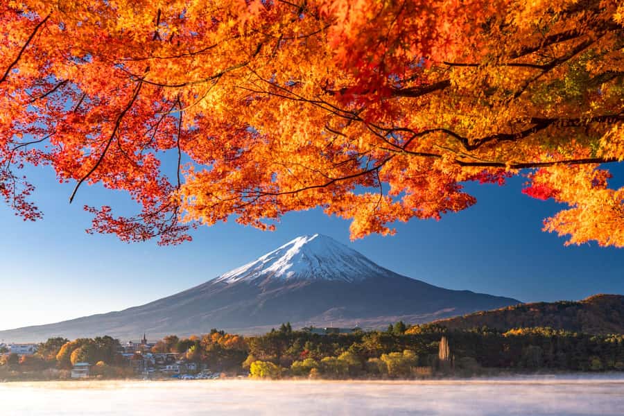 Tokyo: Mt. Fuji 5th Station, Kawaguchiko Tour w/ Cable Car - Key points to know before you book