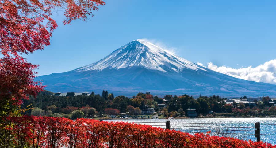 Tokyo: Mt. Fuji 5th Station, Kawaguchiko Tour w/ Cable Car - Lake Kawaguchi and the Panoramic Ropeway