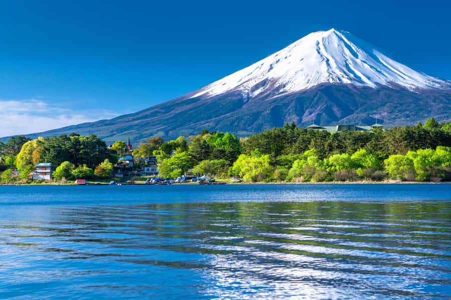 Tokyo: Mt. Fuji 5th Station, Kawaguchiko Tour w/ Cable Car - Weather and the odds of seeing Fuji