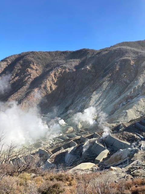 Tokyo: Mt. Fuji and Hakone Tour with Cable Car and Cruise - Should you book this Mt. Fuji and Hakone tour?