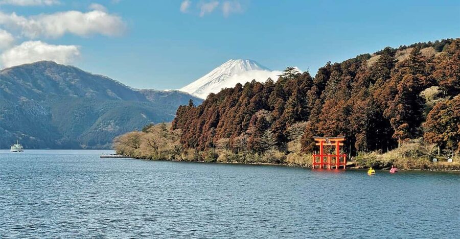 Tokyo: Mt. Fuji and Hakone Tour with Cable Car and Cruise - The long ride back and your return choices