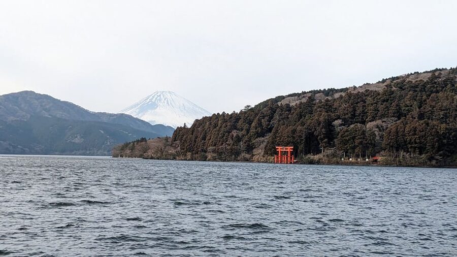 Tokyo: Mt. Fuji and Hakone Tour with Cable Car and Cruise - Who will enjoy this day trip?