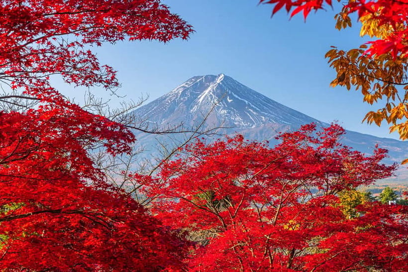 Tokyo: Mt. Fuji, Arakurayama Sengen Park, Oshino Hakkai Tour - Key points to know before booking