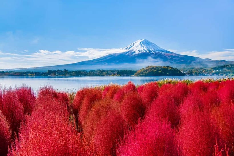 Tokyo: Mt. Fuji, Arakurayama Sengen Park, Oshino Hakkai Tour - Hikawa Clock Shop and Fujiyoshida’s old street