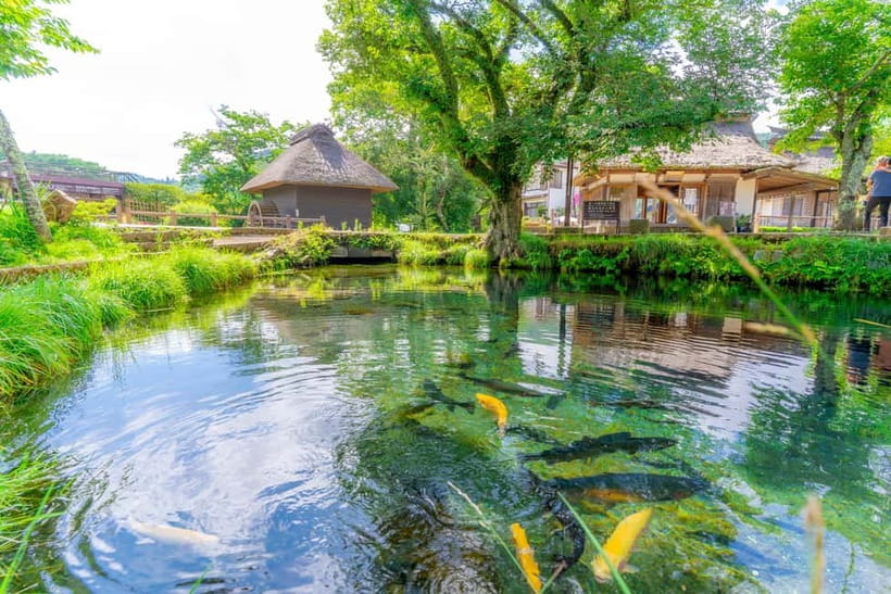 Tokyo: Mt. Fuji, Arakurayama Sengen Park, Oshino Hakkai Tour - What $50 covers, and what it does not