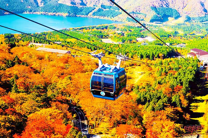 Tokyo: Mt. Fuji Cruise & Hakone Ropeway Day Trip by Bus - The 8:00 am start in Shinjuku
