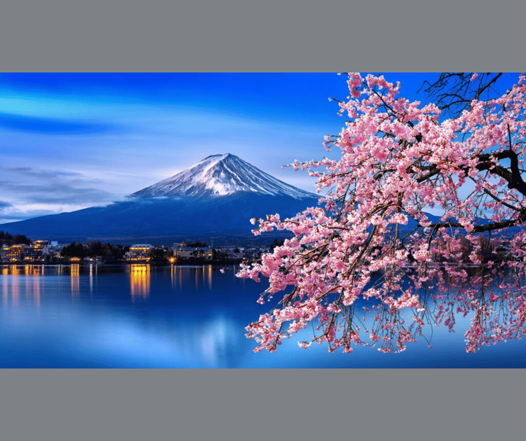 Tokyo: Mt. Fuji & Hakone Cherry Blossoms Private Day Tour - A big Fuji day from Tokyo