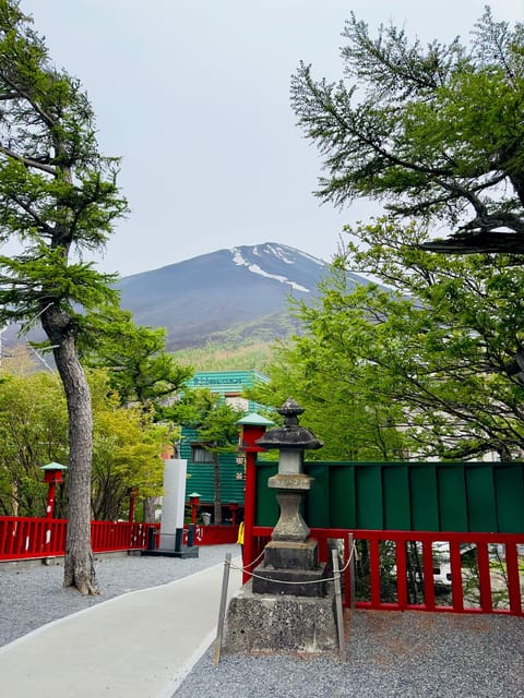 Tokyo: Mt. Fuji & Hakone Cherry Blossoms Private Day Tour - Oishi Park and the lavender garden