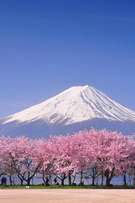 Tokyo: Mt. Fuji & Hakone Cherry Blossoms Private Day Tour - Crossing from Fuji to Hakone
