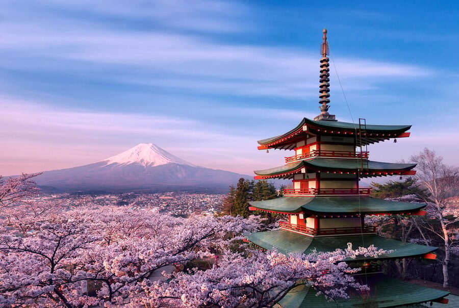 Tokyo:Mt Fuji & Hakone Day Tour with English Speaking Driver - Timing, weather, and the route’s main tradeoff