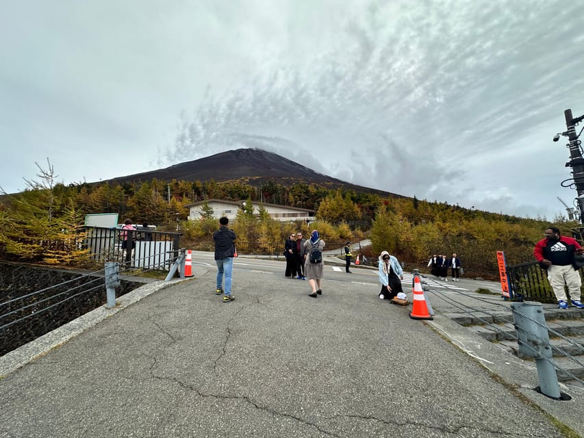 Tokyo:Mt Fuji & Hakone Day Tour with English Speaking Driver - Who should book this experience?