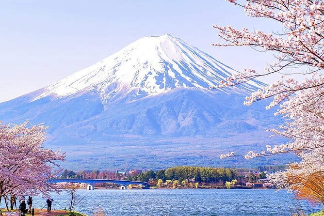 Tokyo Mt. Fuji Hakone Shrine, Owakudani, Lake Yamanakai Day Tour - Owakudani Valley and its black eggs
