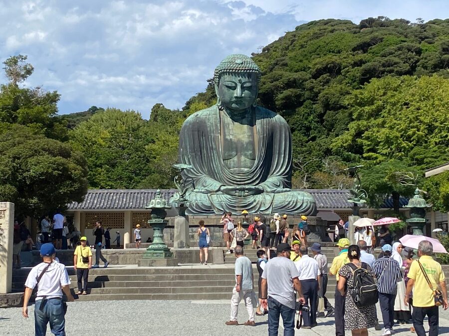 Tokyo: Mt. Fuji, Kamakura, Big Buddha, & Lake Ashi Day Trip - Choosing between the route options
