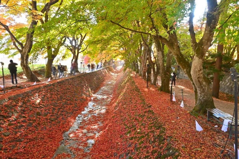 Tokyo:Mt.Fuji,Kawaguchiko Oishi Park,Arakurayama Sengen Park - Chureito Pagoda, the picture that sells the route