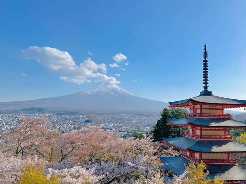 Tokyo: Mt. Fuji & Lake Kawaguchi Instagram Full Day Trip - Who will get the most from this tour