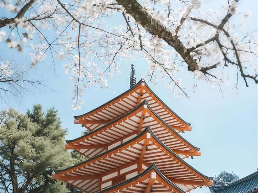 Tokyo: Mt. Fuji & Lake Kawaguchi Instagram Full Day Trip - Fujiyoshida and the Hikawa Clock Shop street