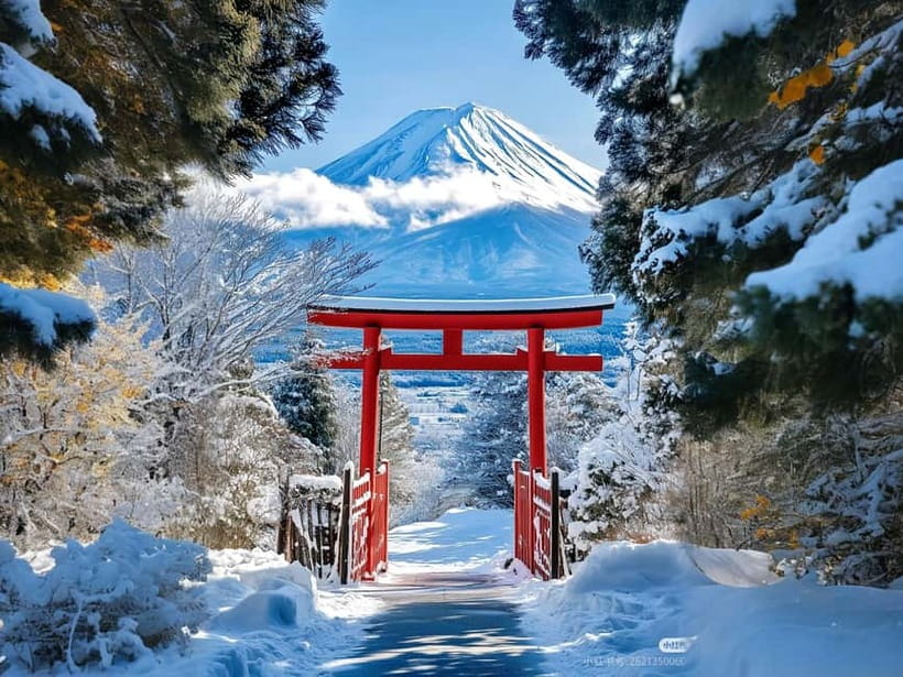 Tokyo: Mt. Fuji & Lake Kawaguchi Instagram Full Day Trip - Meeting at Tokyo Station without confusion