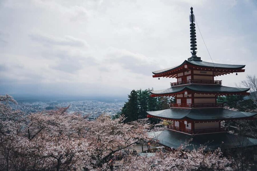 Tokyo: Mt. Fuji & Lake Kawaguchi Private Tour with Transfer - Why a private Fuji day can be worth the price
