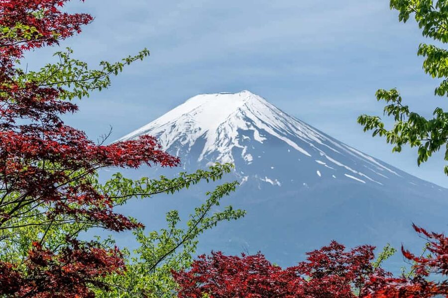 Tokyo: Mt. Fuji & Lake Kawaguchi Private Tour with Transfer - Fuji-Q Highland: a flexible final stop