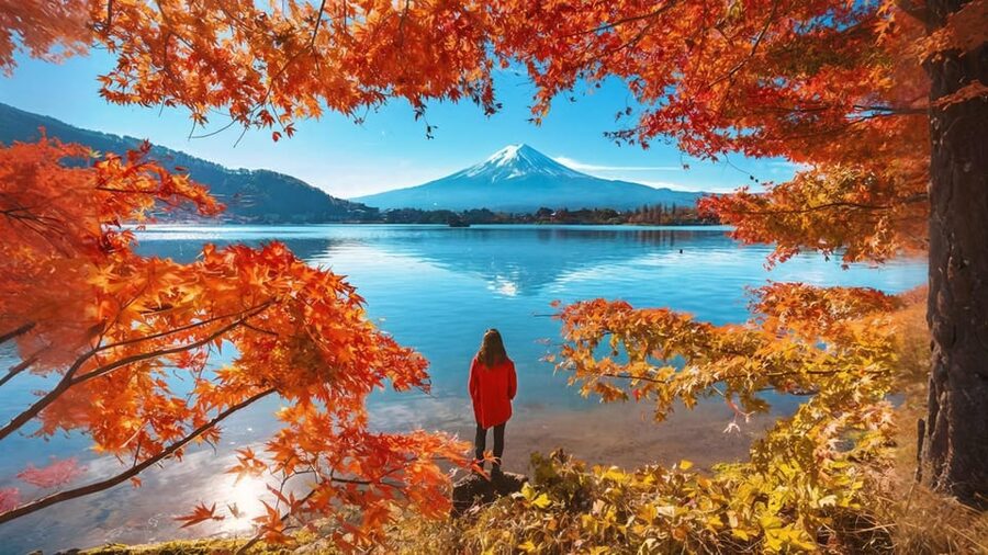 Tokyo: Mt Fuji Lake Kawaguchi & Yamanaka Hot Spring Day Tour - A full day in a small van