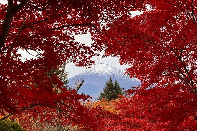Tokyo: Mt.Fuji & Lake Kawaguchiko 1-Day Bus Tour w/Optional Lunch - What this Mt. Fuji day trip actually gives you