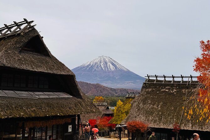 Tokyo: Mt.Fuji & Lake Kawaguchiko 1-Day Bus Tour w/Optional Lunch - Price, lunch, and the real value