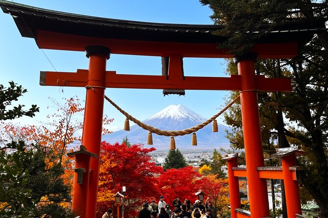 Tokyo: Mt.Fuji & Lake Kawaguchiko 1-Day Bus Tour w/Optional Lunch - Starting in Shinjuku, with no room for a late arrival