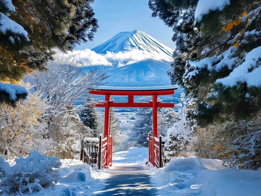 Tokyo: Mt Fuji Lake Kawaguchiko Tour & Arakuyama Sengen Park - Key points at a glance