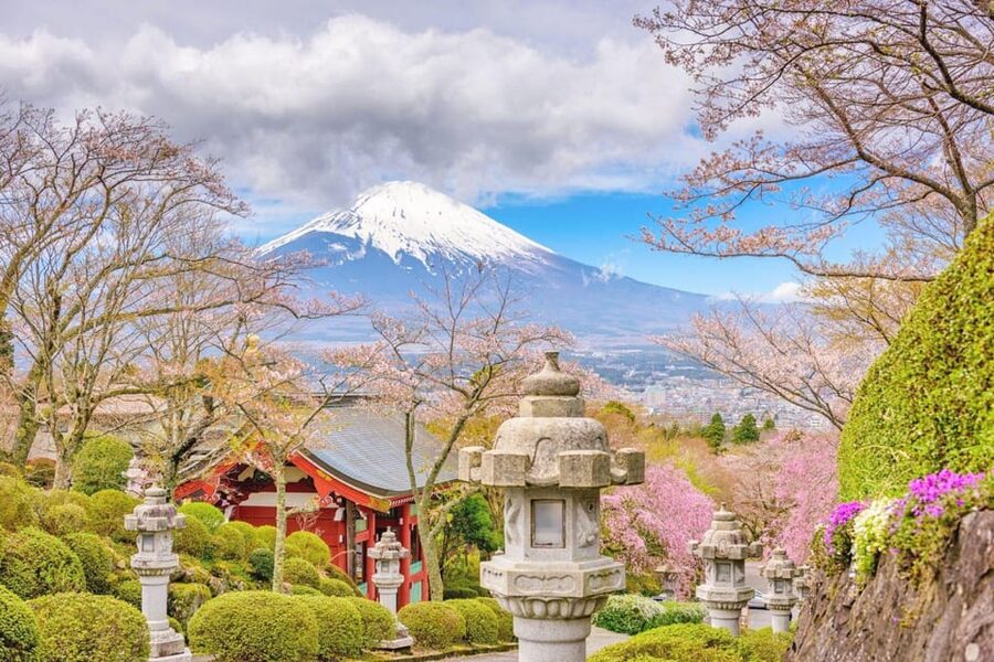 Tokyo: Mt Fuji Lake Kawaguchiko Tour & Arakuyama Sengen Park - Oshino Hakkai and its clear spring ponds