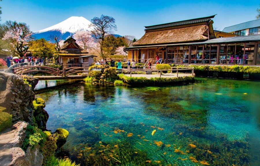 Tokyo: Mt Fuji Lake Kawaguchiko Tour & Arakuyama Sengen Park - The ride back to Tokyo