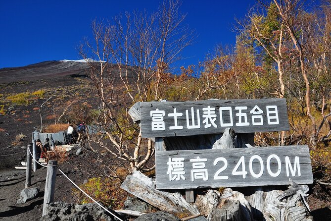 Tokyo: Mt. Fuji, Oshino Hakkai and Gotemba Outlets 1-Day Bus Tour - A full Fuji day for $56.68