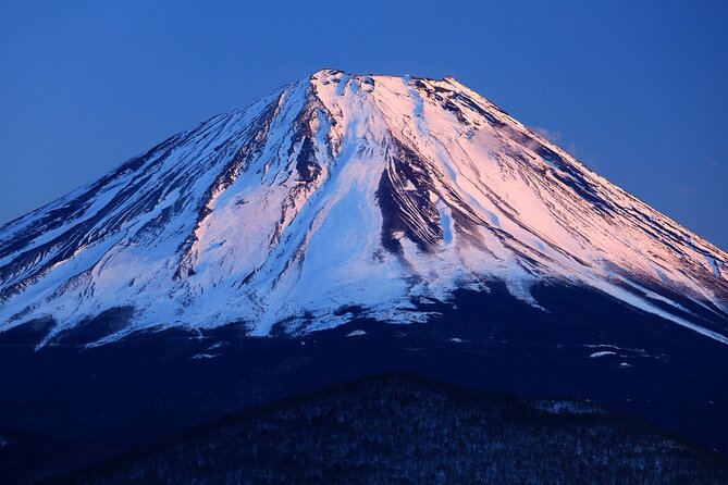 Tokyo: Mt. Fuji, Oshino Hakkai and Gotemba Outlets 1-Day Bus Tour - Starting at Shinjuku West Exit