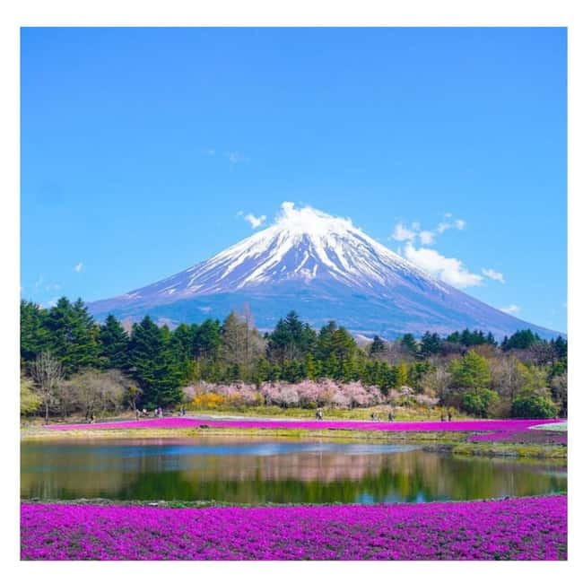 Tokyo: Mt Fuji Private Day Tour By English Driver Low Price - Fuji Sengen Shrine, a quieter change of pace