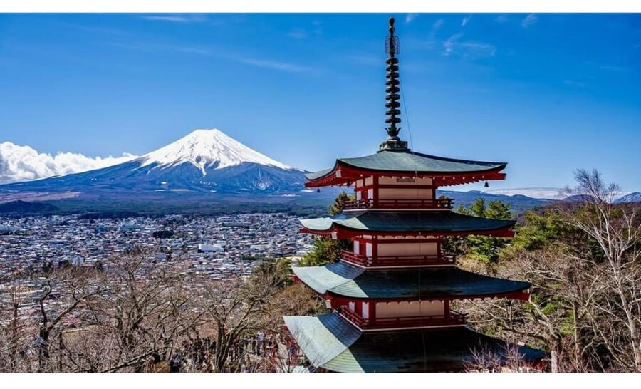 Tokyo: Mt Fuji Private Day Tour with English-speaking Driver - Starting from Tokyo, Shinjuku, Koto City, or Saitama