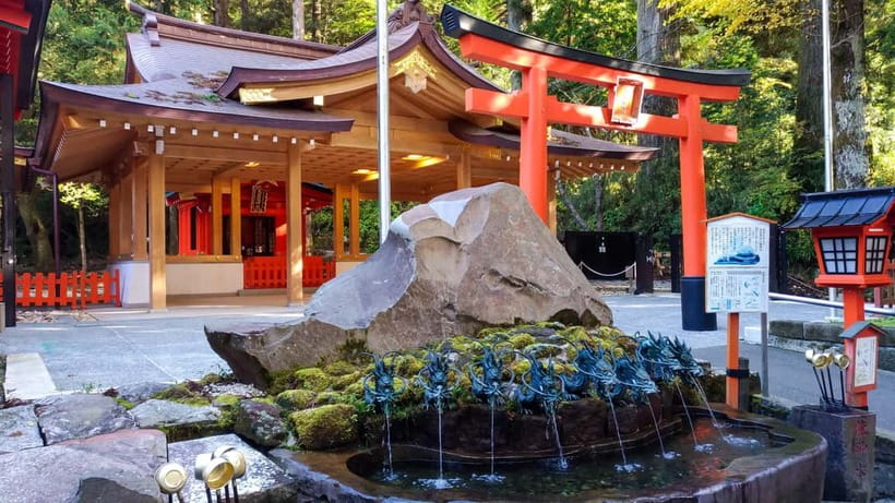 Tokyo: Mt. Fuji Tour, Hakone Ropeway, Owakudani, Lake Ashi - Who should book this tour