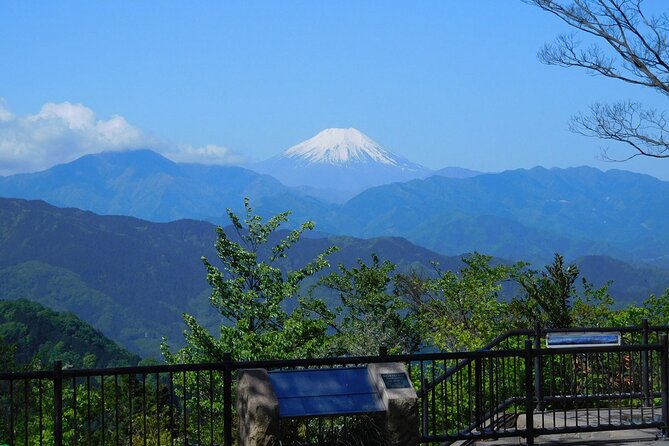 Tokyo: Mt Takao Tour with Ramen and Tattoo-Okay Hot Spring - Why Mt. Takao makes a smart break from Tokyo