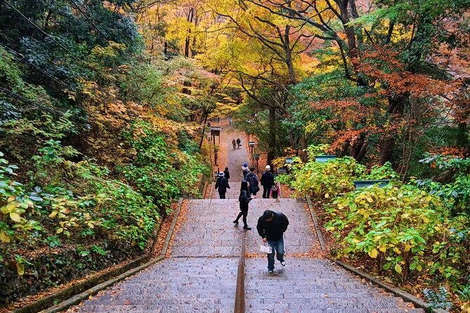 Tokyo: Mt Takao Tour with Ramen and Tattoo-Okay Hot Spring - Cable car, chair lift, and the first mountain views
