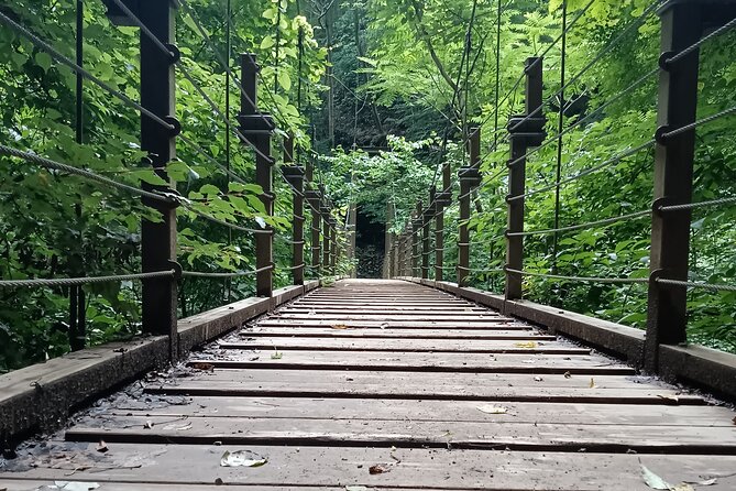 Tokyo: Mt Takao Tour with Ramen and Tattoo-Okay Hot Spring - The return ride and a proper onsen finish