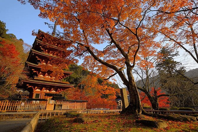 Tokyo Nagano Snow Monkey Park and Zenkoji Temple English driver - Private transport is the main value