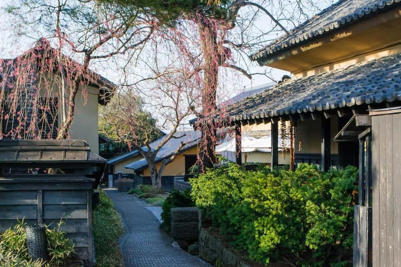 Tokyo: Nagano Snow Monkeys and Zenkoji Tour with Temples - Who should book this Nagano excursion