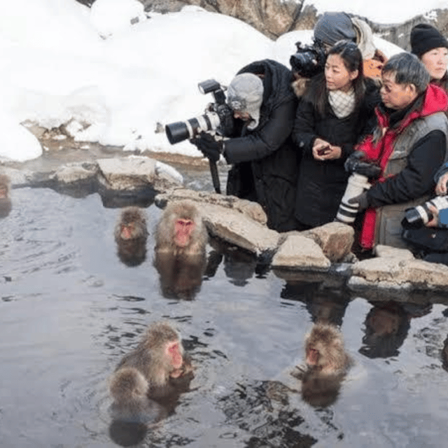 Tokyo: Nagano Snow Monkeys and Zenkoji Tour with Temples - Zenko-ji gives the day its spiritual center