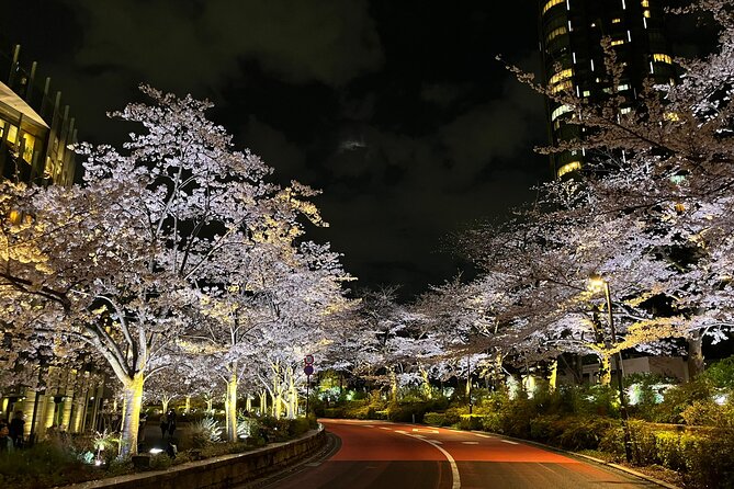Tokyo Night Bike Tour: From Shibuya to Tokyo Tower via Roppongi - Starting near Yoyogi at 8 pm