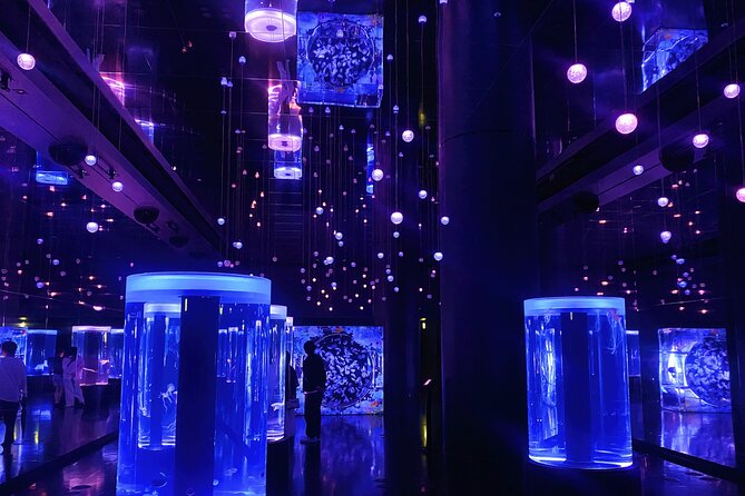 Tokyo Night E-Bike Tour with Tokyo Tower and Dolphin Show - Tokyo Tower’s Top Deck as the grand finish