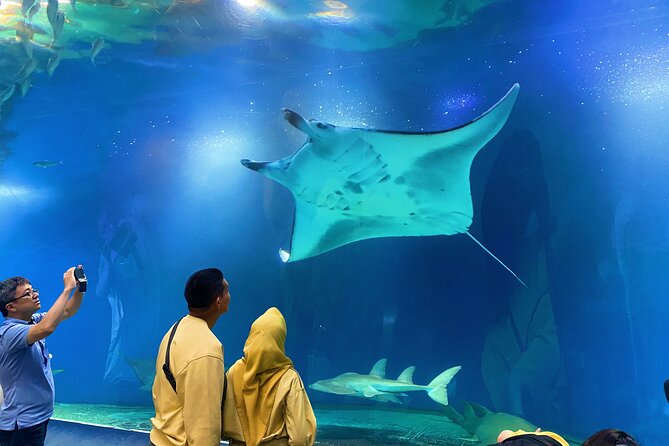 Tokyo Night E-Bike Tour with Tokyo Tower and Dolphin Show - Who will get the most from this experience